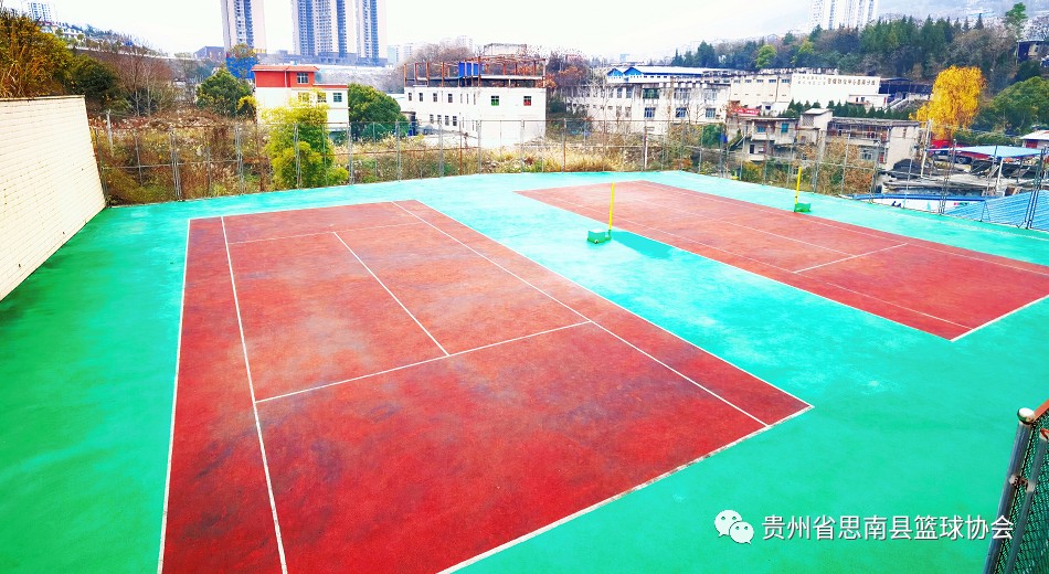 篮球训练心得体会200字左右作文_1